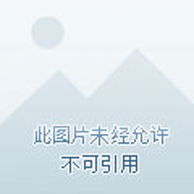 青岛系统集成,企业数字化转型的强大力量